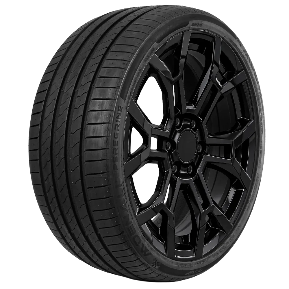 Pneu Denali Peregrine